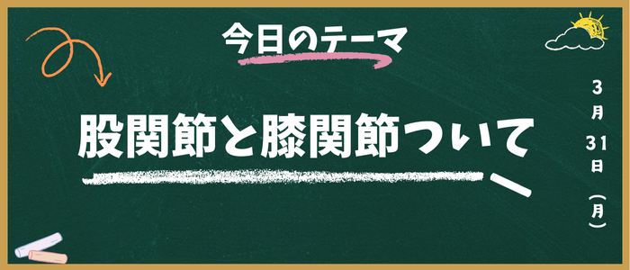 股関節
